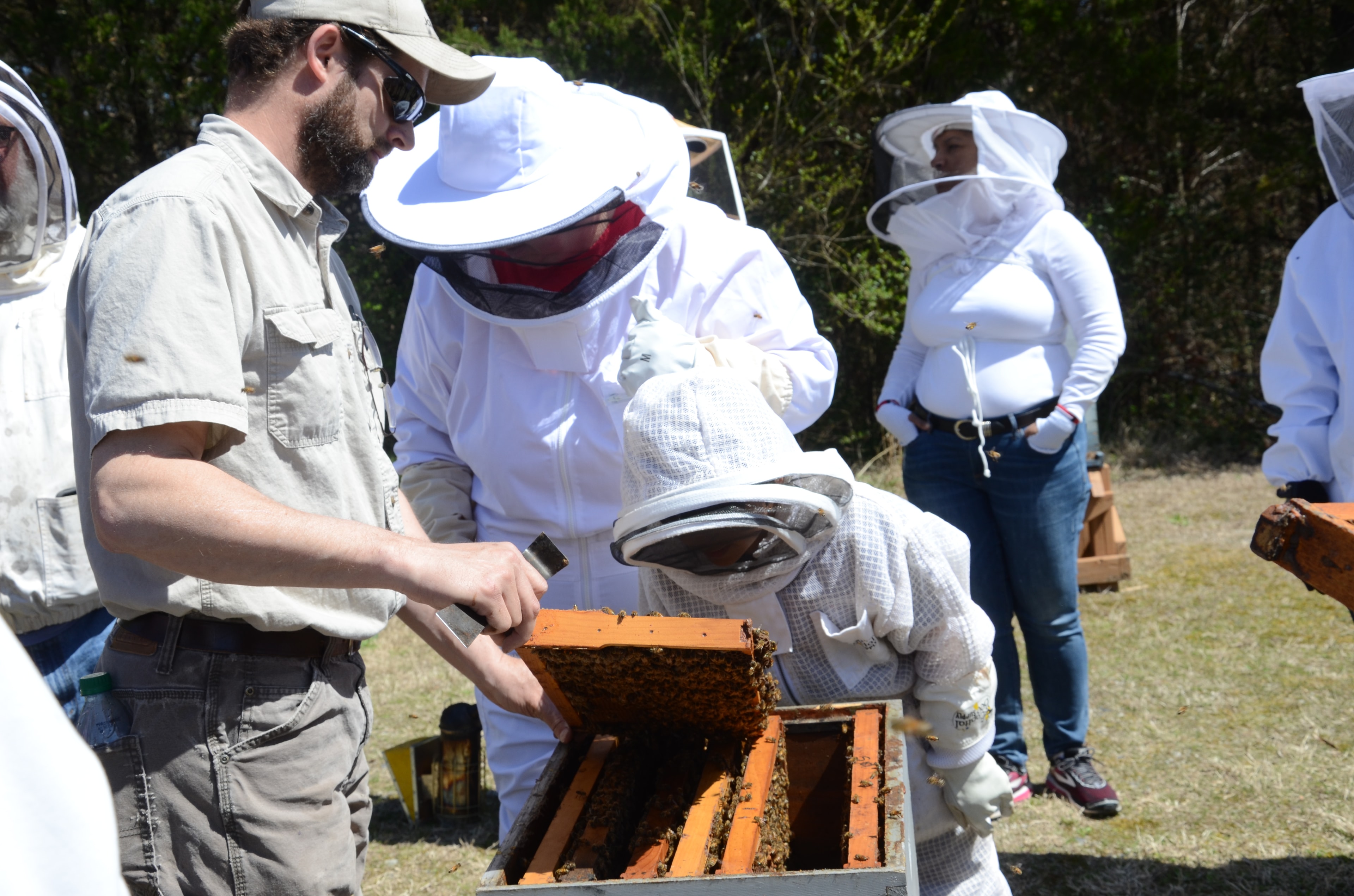 Beekeepers examining hive frames at a field day